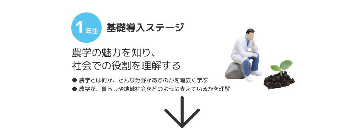 1年基礎導入ステージ 農学の魅力を知り、社会での役割を理解する