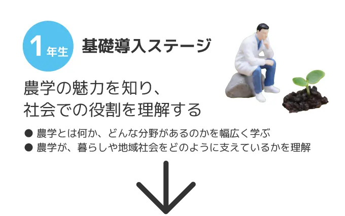 1年基礎導入ステージ 農学の魅力を知り、社会での役割を理解する