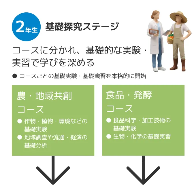 2年基礎深究ステージ コースに分かれ、基礎的な実験・実習で学びを深める