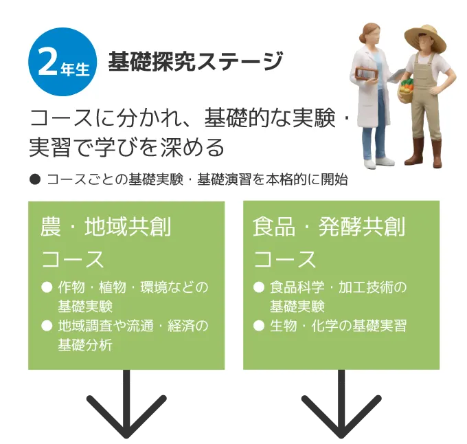 2年基礎深究ステージ コースに分かれ、基礎的な実験・実習で学びを深める