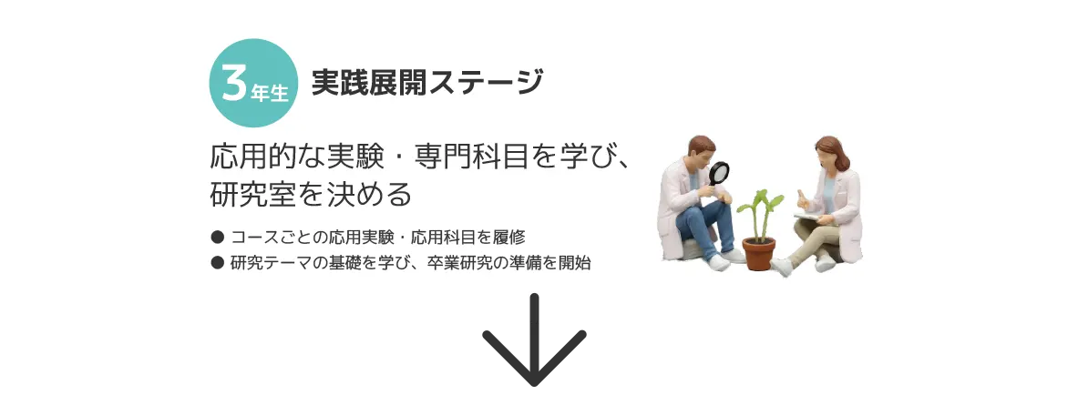 3年実践展開ステージ 応用的な実験・専門科目を学び、研究室を決める