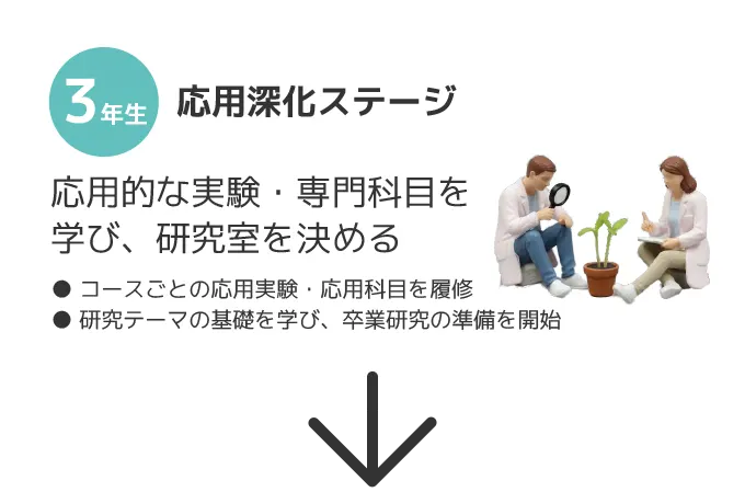 3年応用深化ステージ応用的な実験・専門科目を学び、研究室を決める