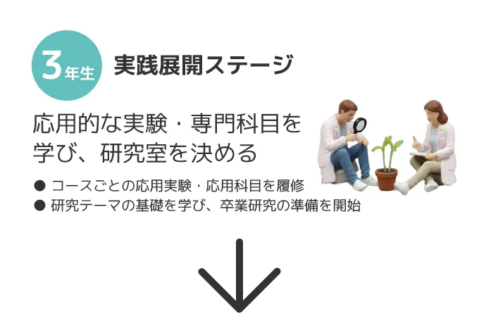 3年実践展開ステージ 応用的な実験・専門科目を学び、研究室を決める