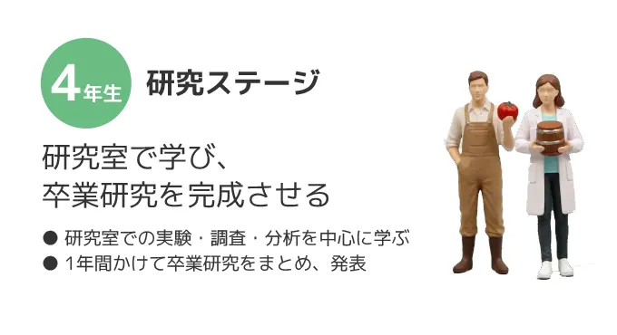 4年研究ステージ研究室で学び、卒業研究を完成させる