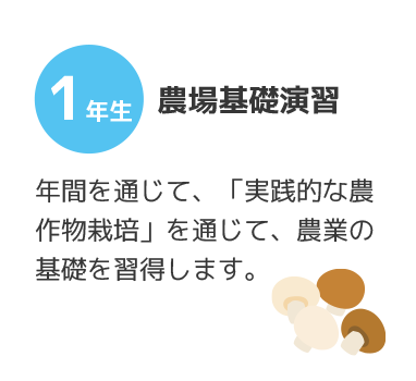 1年農場基礎演習