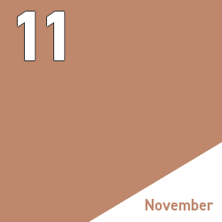 11 November