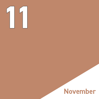 11 November