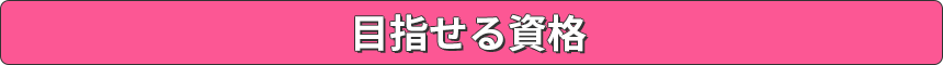 目指せる資格