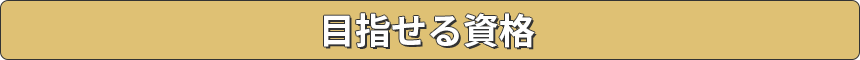 目指せる資格