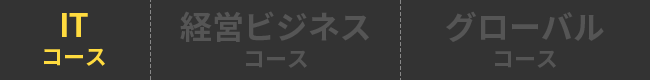 ITコース 経営ビジネスコース グローバルコース