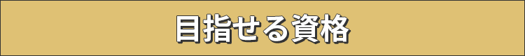 目指せる資格