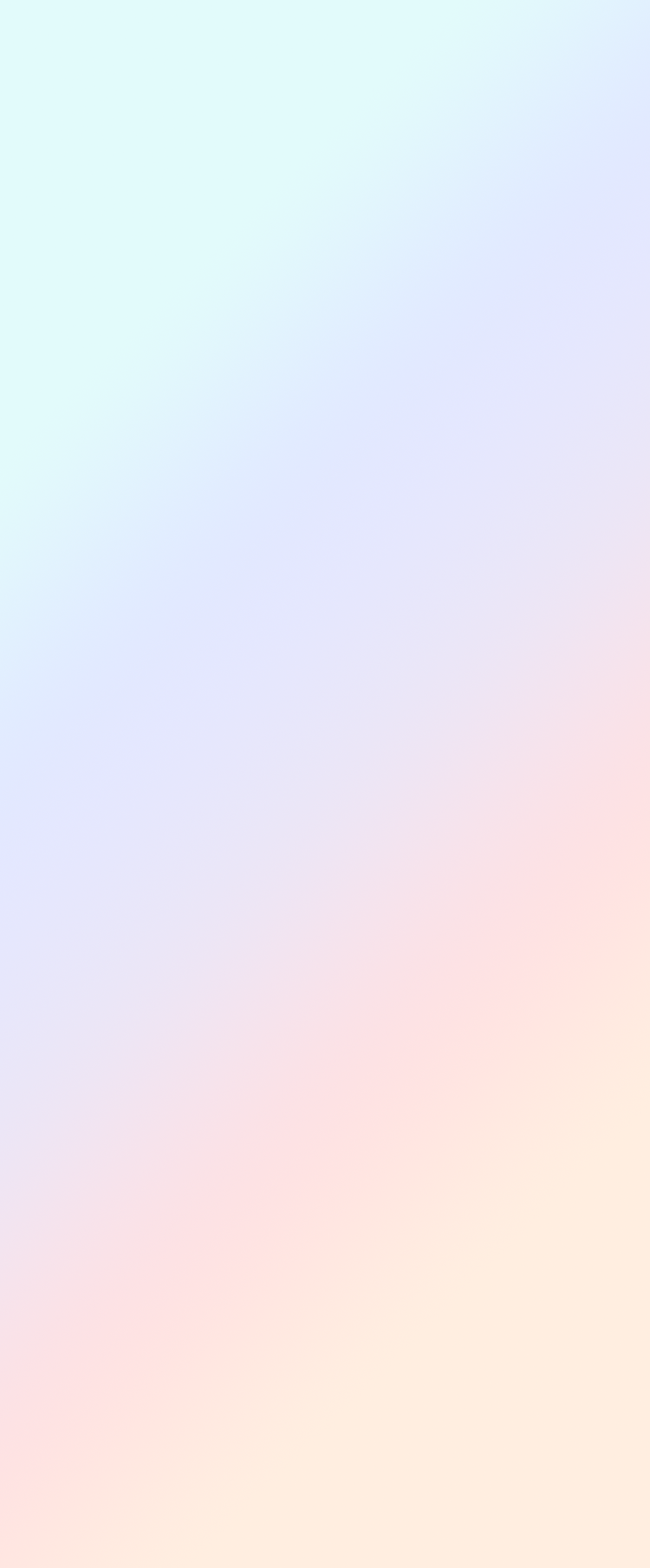 APPLICATION WEB出願