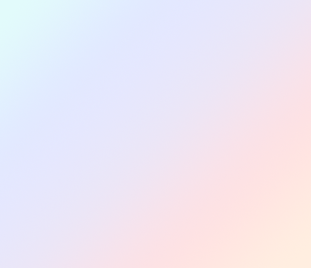 APPLICATION WEB出願
