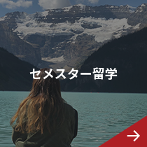 セメスター留学