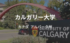 カルガリー大学 カナダ アルバータ州