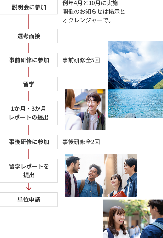 参加の流れ