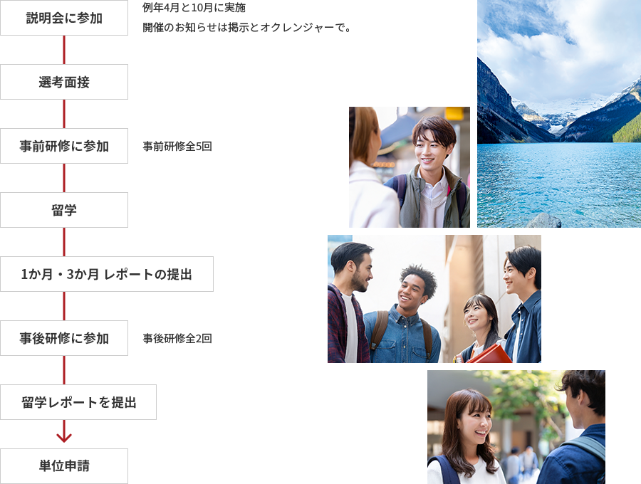 参加の流れ
